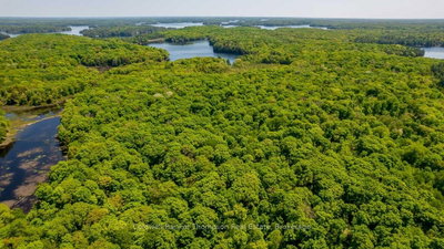 29 BEAR LAKE Road • Georgian Bay, ON photo 8