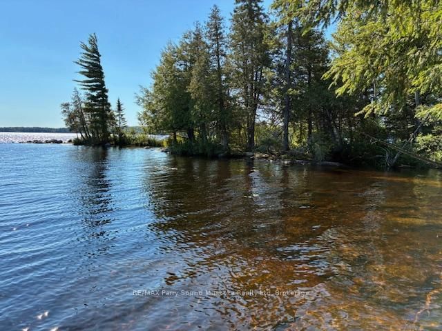 5993 HIGHWAY #124 Highway, Magnetawan, P0A 1A0 | Image 3