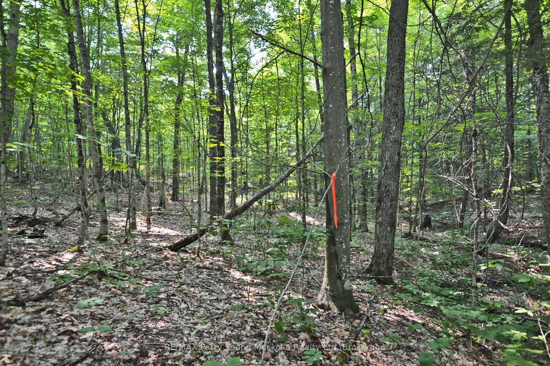 home for sale on Part 2-0 Lyndsey Lane