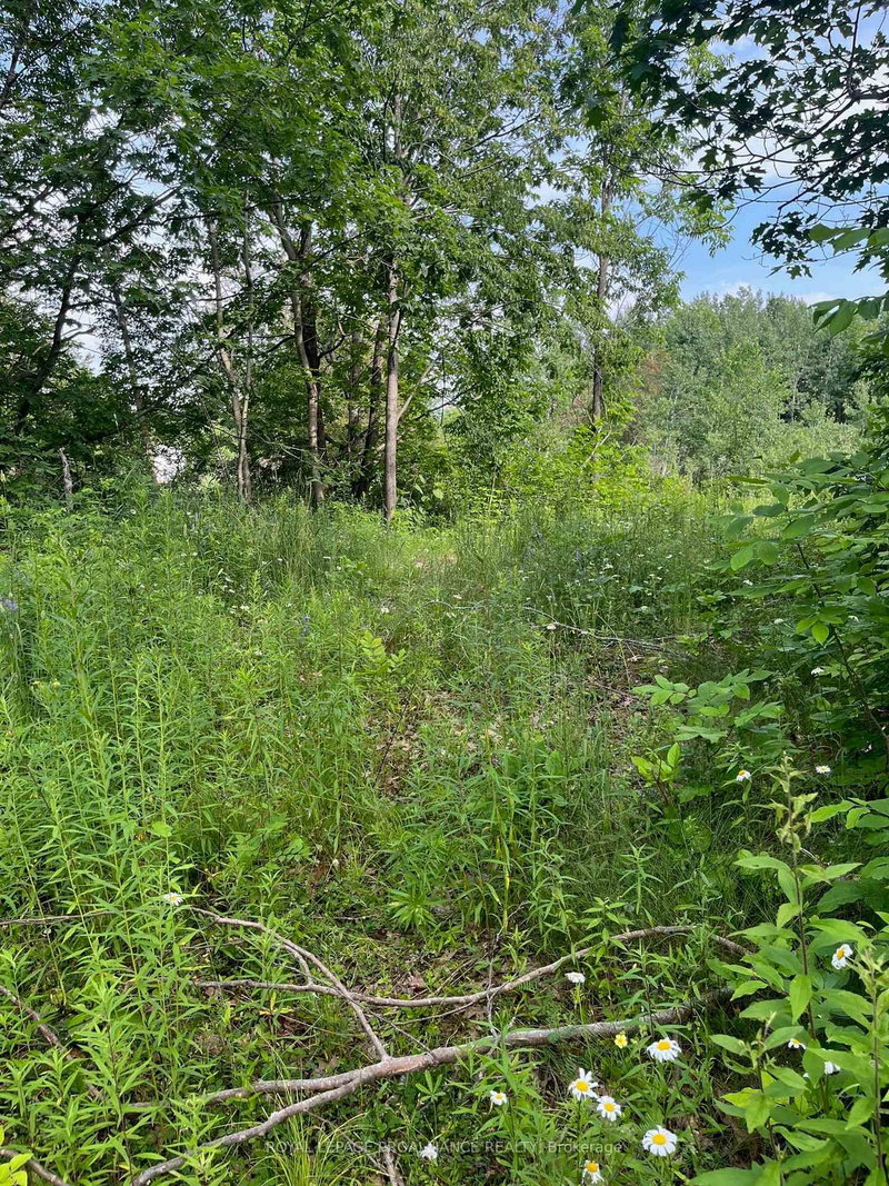 0 Pt Lt 14 Con 3, Rideau Lakes, K0G 1X0 | Image 2