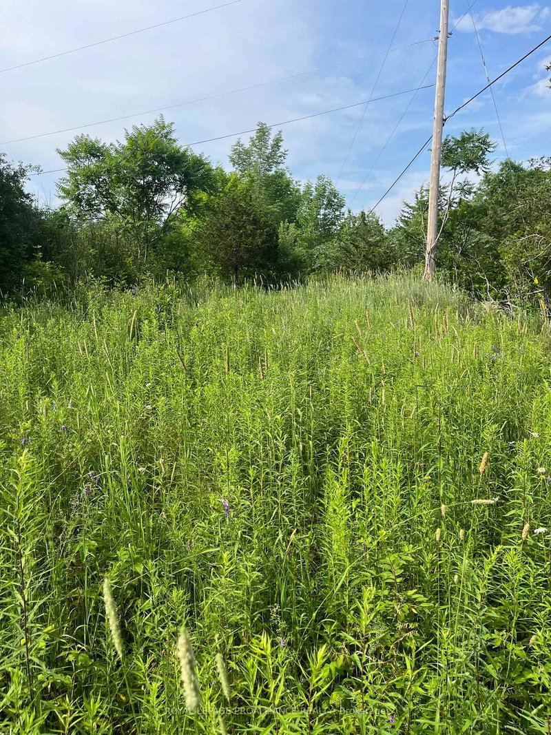 0 Pt Lt 14 Con 3, Rideau Lakes, K0G 1X0 | Image 3