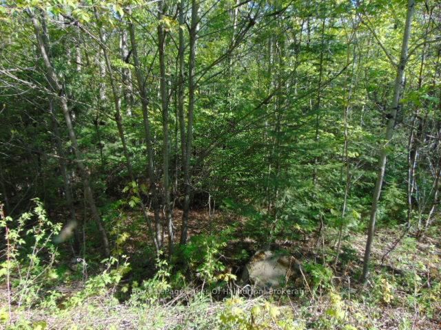 Lot 11 Plan 580 North Drive