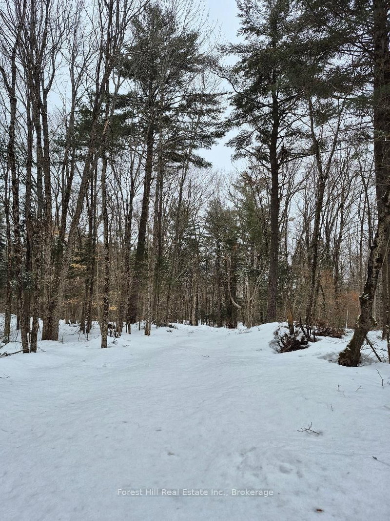 239 Woodland Dr S, McMurrich/Monteith, P0A 1Y0 | Image 2