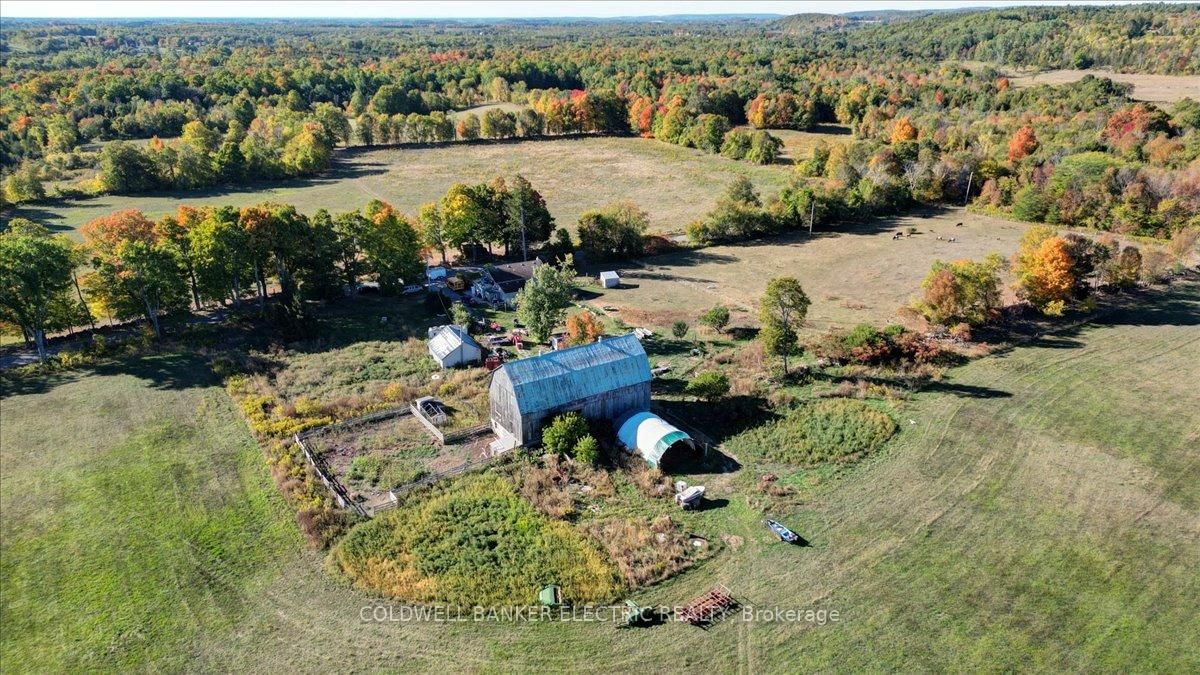 Listing Image 31