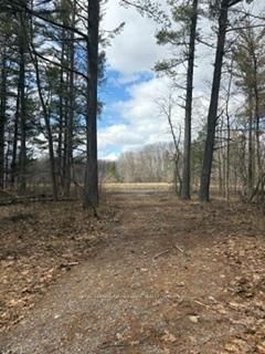 97 Greenly Rd, Trent Hills, K0K 3K0 | Image 2