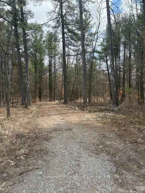 97 Greenly Rd, Trent Hills, K0K 3K0 | Image 3