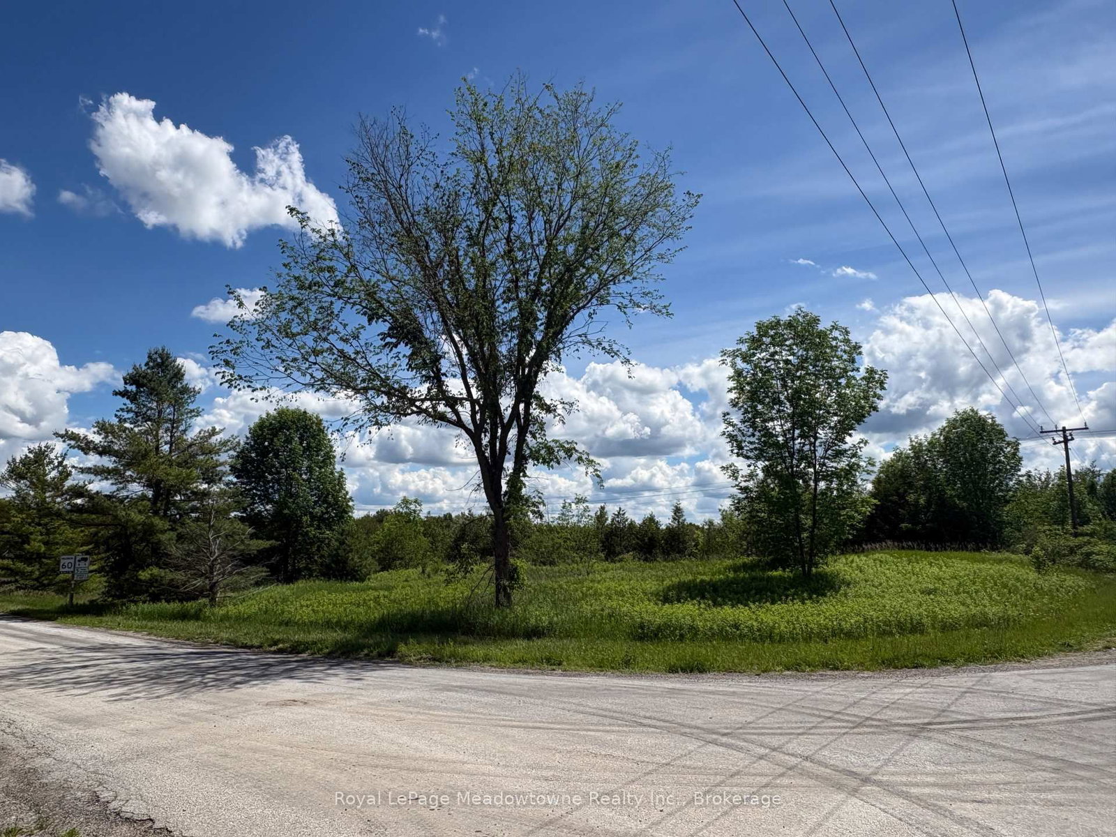 9161 Erin-Garafraxa Townline • Erin, ON photo 11