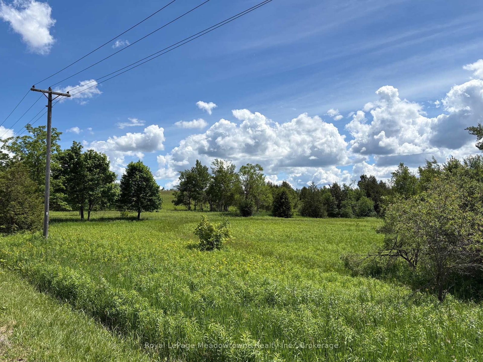 9161 Erin-Garafraxa Townline • Erin, ON photo 5