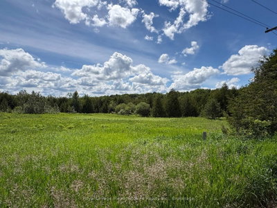 9161 Erin-Garafraxa Townline • Erin, ON photo 6