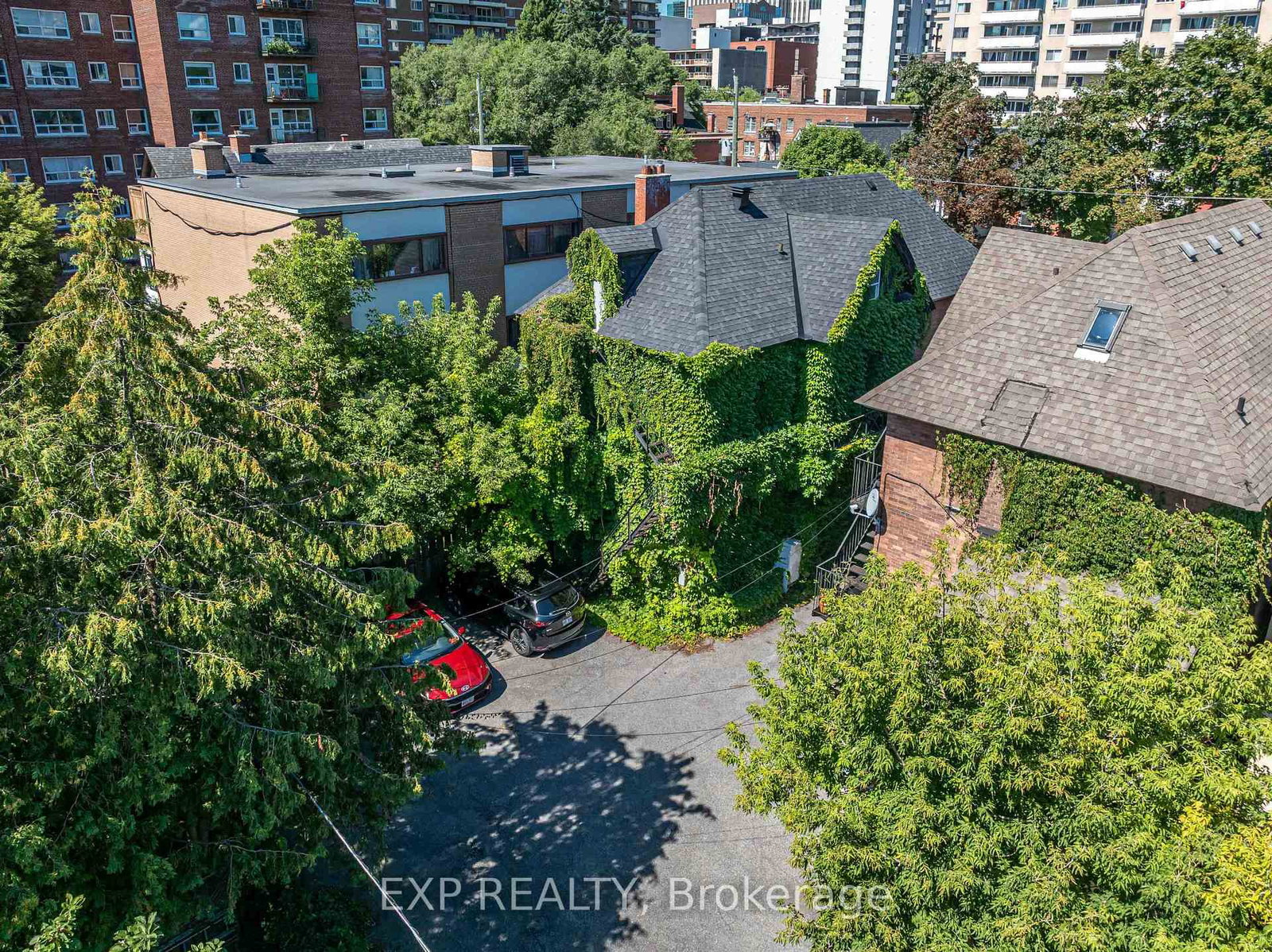 88 Maclaren Street - Photo 10