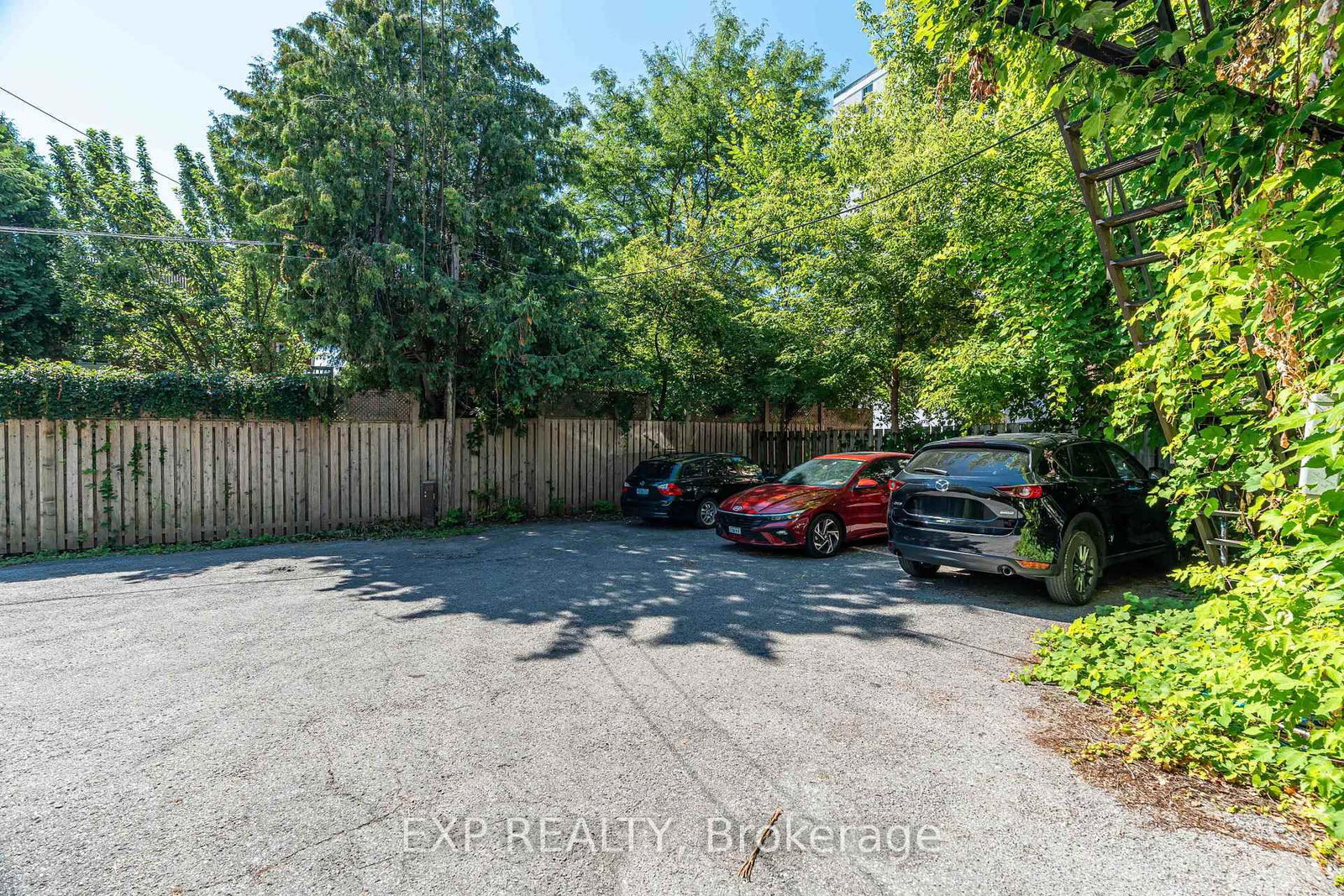 88 Maclaren Street - Photo 6