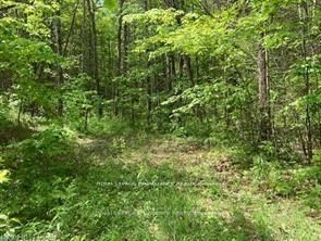 338 S Glen Allen Road • Limoges, ON photo 10