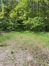 338 S Glen Allen Road • Limoges, ON photo 14
