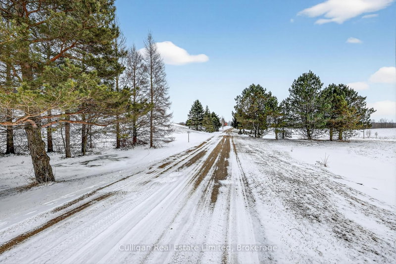 321 Field Rd, South Bruce, N0G 2J0 | Image 3