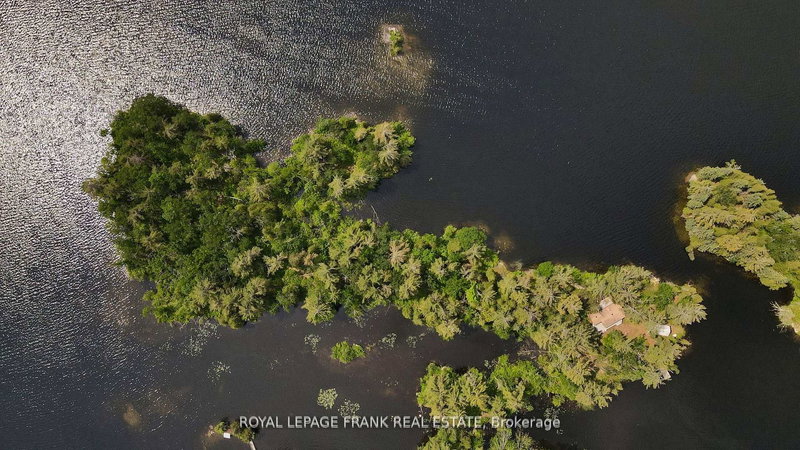 2295 Stony Lake Isl 17, North Kawartha, K0L 2H0 | Image 2