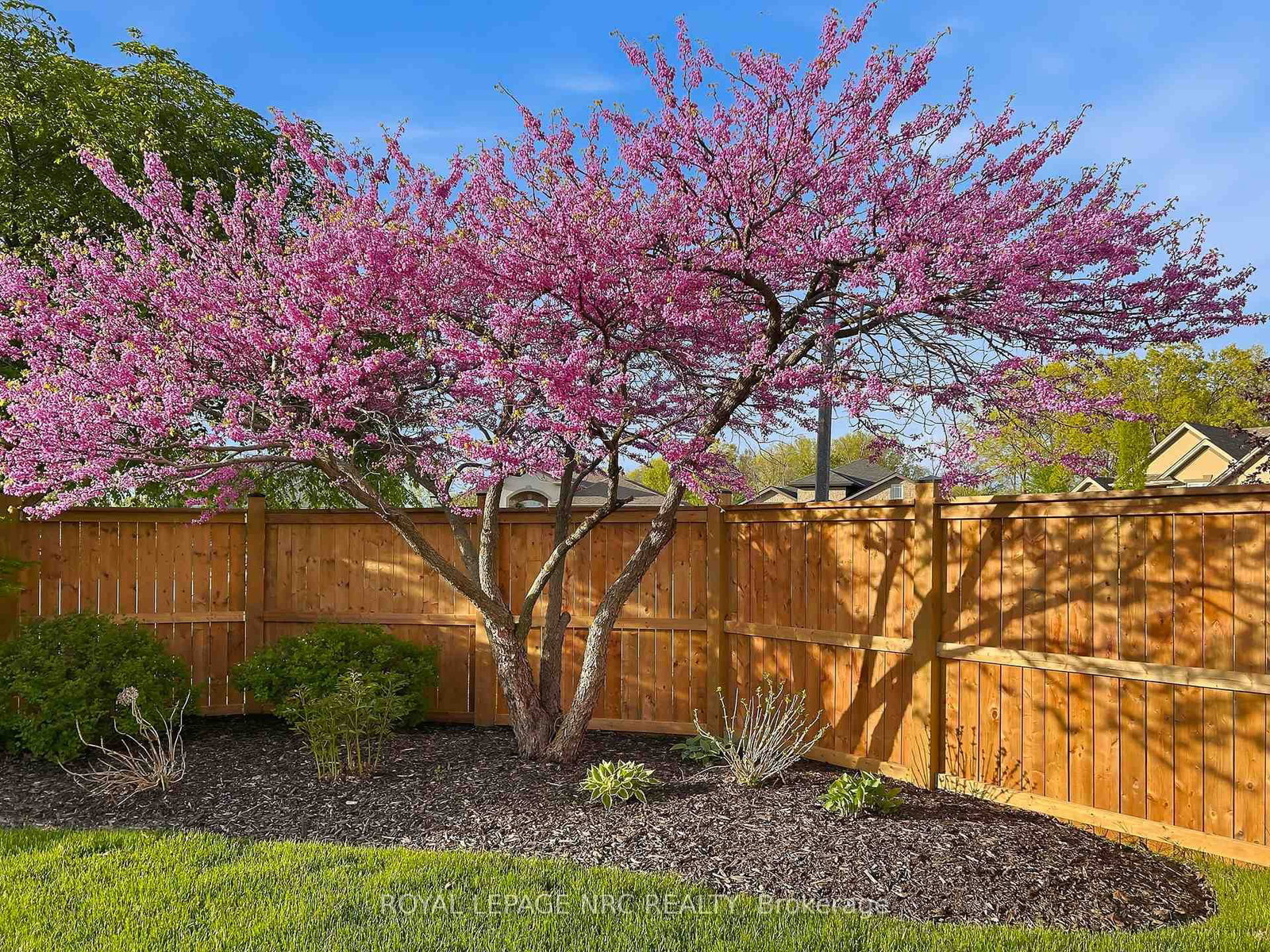 Detached House for sale at 165 Colbeck Drive, Welland, Ontario, L3C 7M1 - Coyle Creek - MLS: X12904380