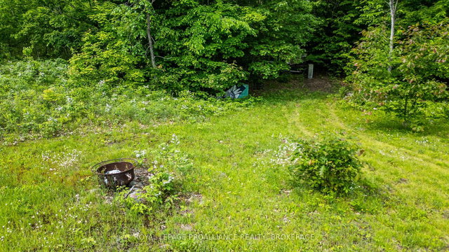 384 Big Crosby Lake Road