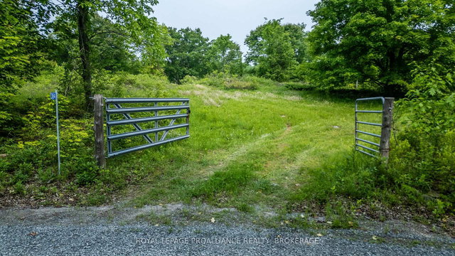 384 Big Crosby Lake Road