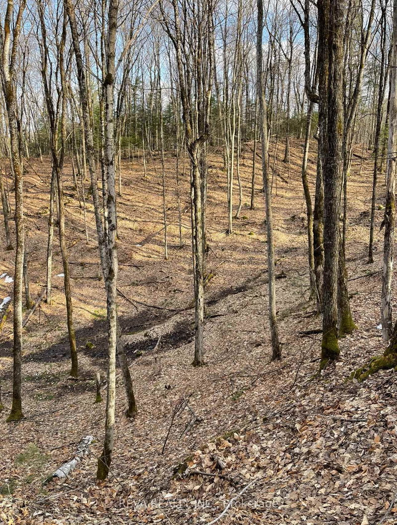 home for sale on 0 Rallison Lane