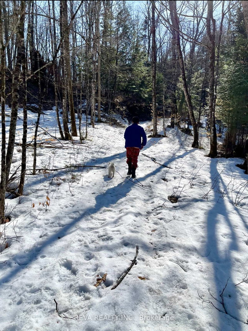 0 Rallison Lane, Faraday, K0L 2L0 | Image 3