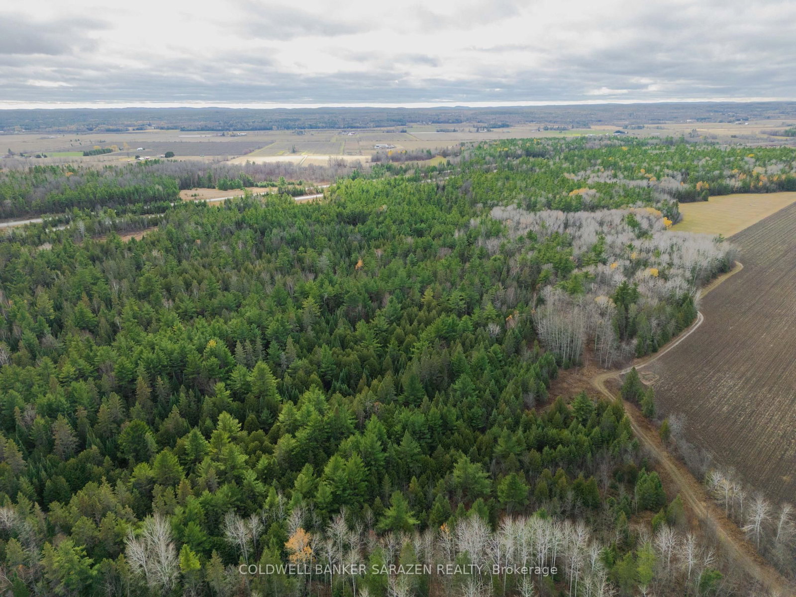 00 Scheel Drive • Arnprior, ON photo 5