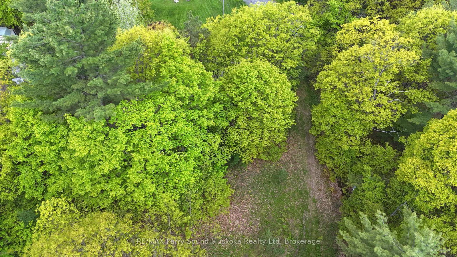 22A Lock Street • Seguin, ON photo 11