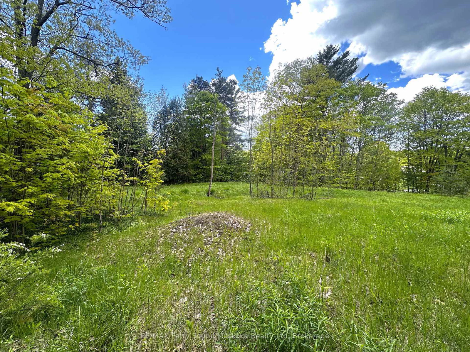 22A Lock Street • Seguin, ON photo 2