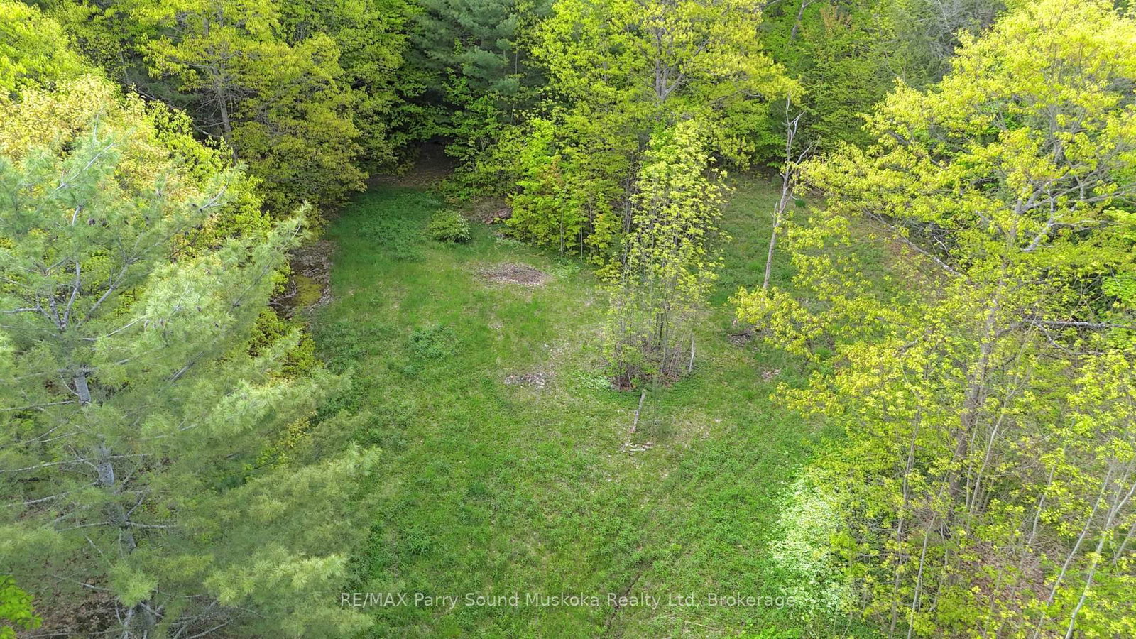22A Lock Street • Seguin, ON photo 3