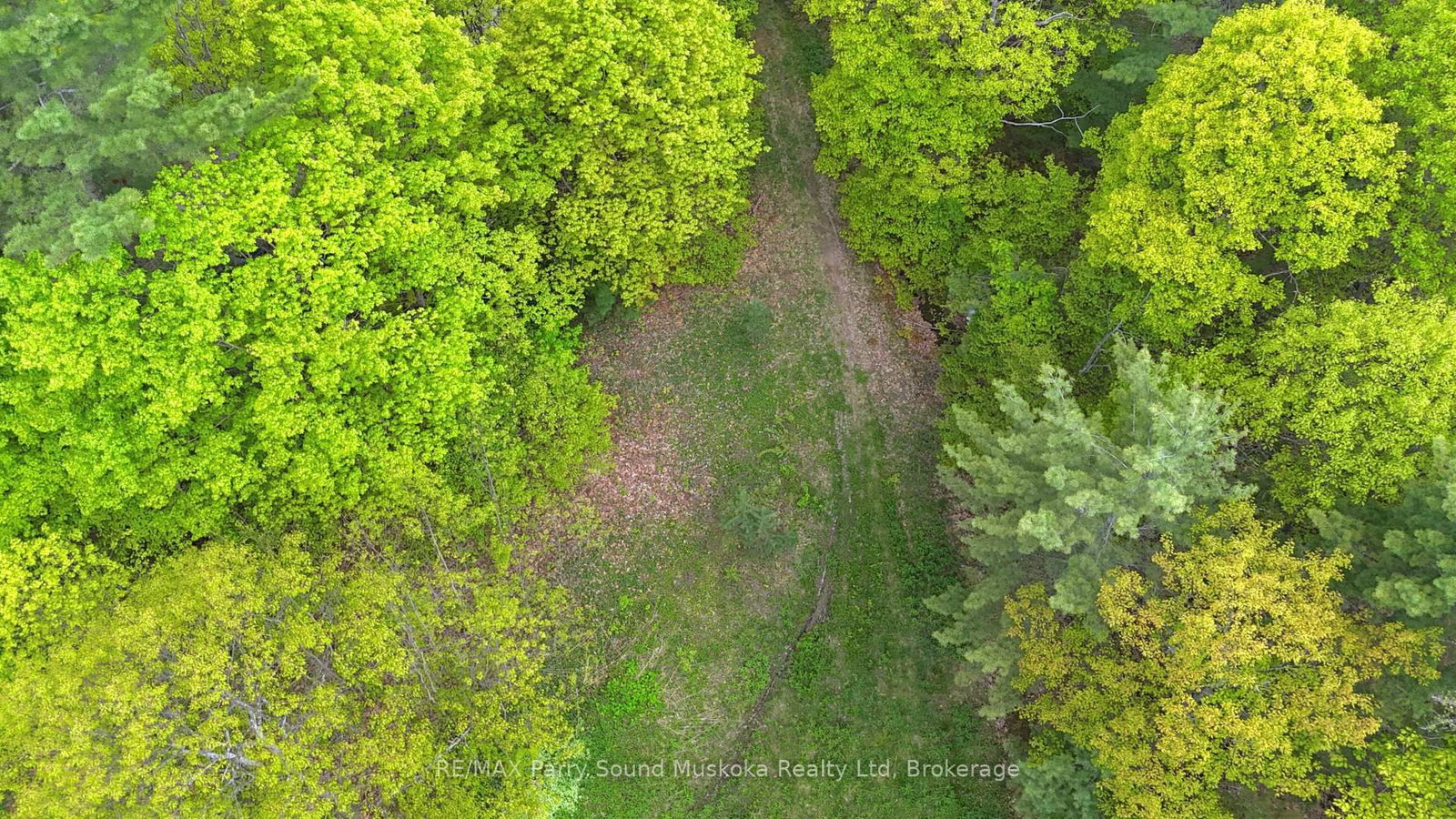 22A Lock Street • Seguin, ON photo 9