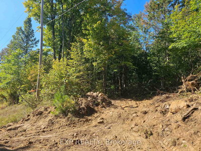 Part Lot 32 and Conc 1 Concession | Minden Hills | Image