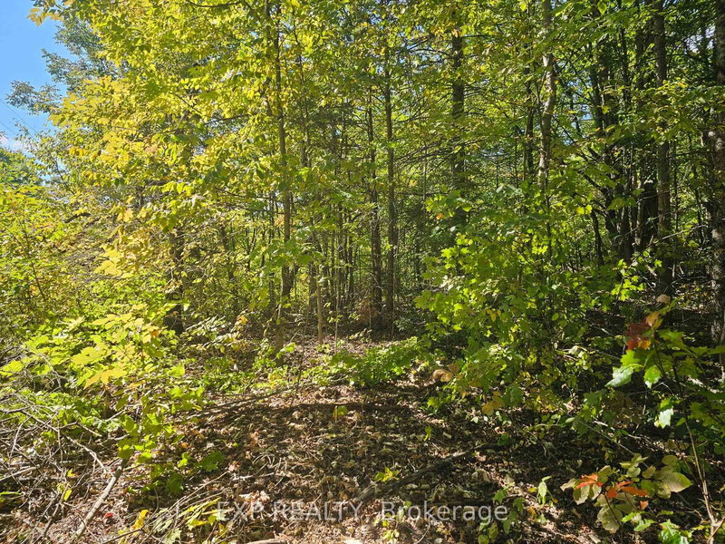 Part Lot 32 and Conc 1 Concession, Minden Hills, K0M 1X0 | Image 2