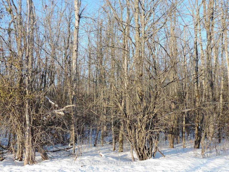 home for sale on L1 -297 HARDING Road