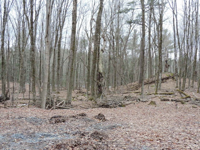 L1 -297 HARDING Road