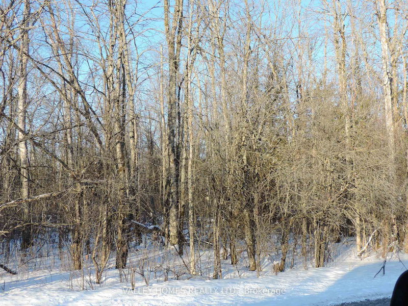 home for sale on L2 -297 HARDING Road