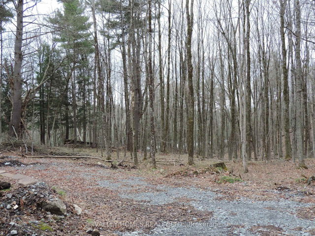 L2 -311 HARDING Road