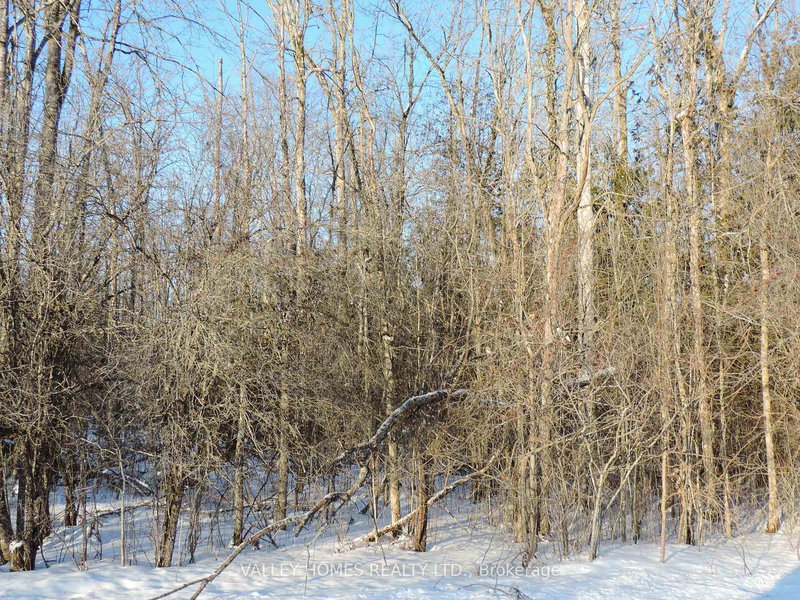 home for sale on L3 - 297 HARDING Road