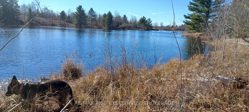 KALADAR CON 9 LT 21, Addington Highlands, K0H 2G0 | Image 2