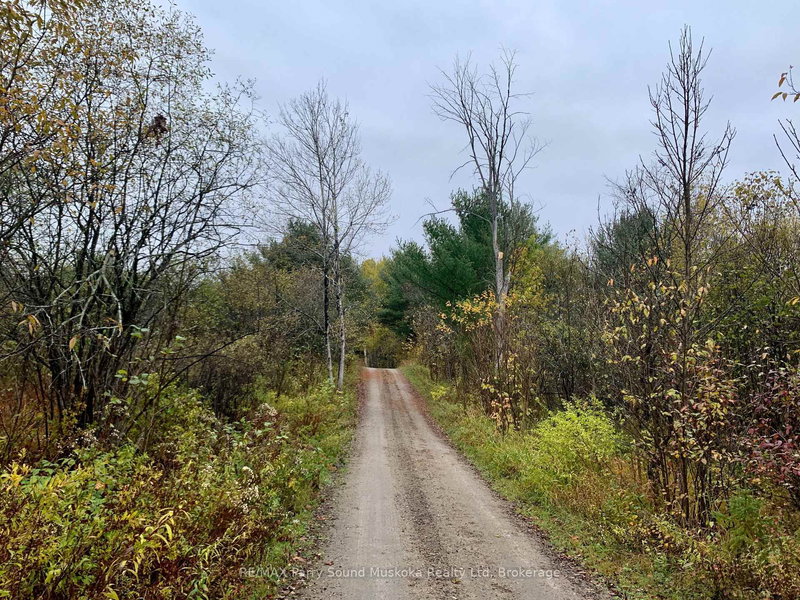 LOT 1 UNNAMED Rd, Whitestone, P0A 1G0 | Image 3