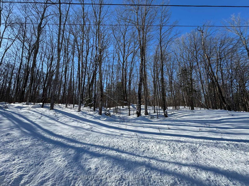 home for sale on 0 N Belmont Conc 10 null