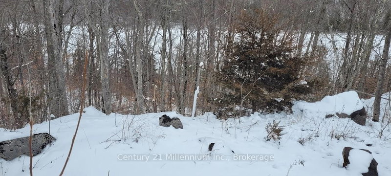 641 Lahey Rd, Madoc, K0K 2K0 | Image 3