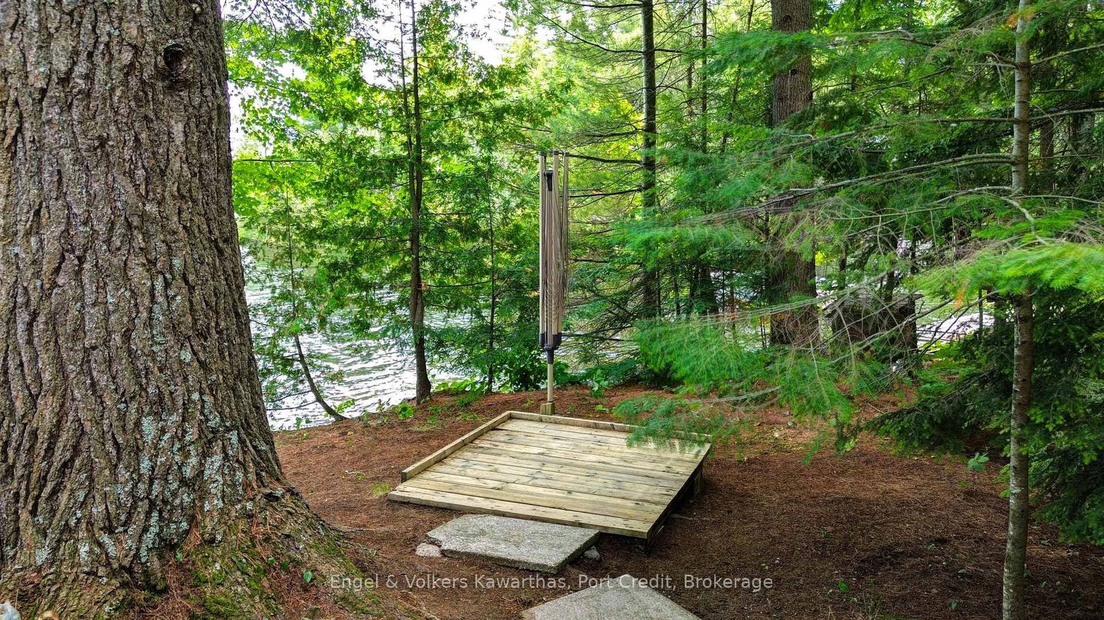 2621 Eels Lake WAO • Highlands East, ON photo 42