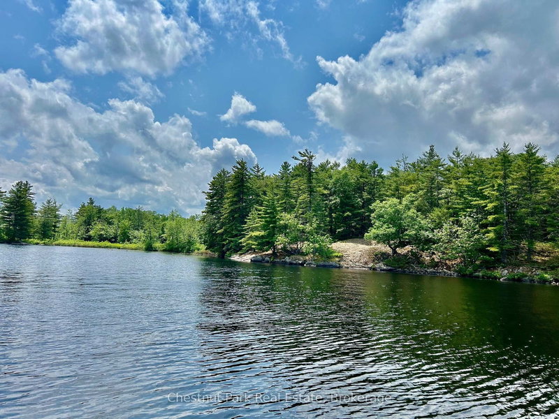 Part 1 Burnt Island, Gravenhurst, P0E 1G0 | Image 3