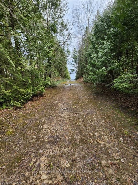 132-B Georgian Drive • Northern Bruce Peninsula, ON photo 21