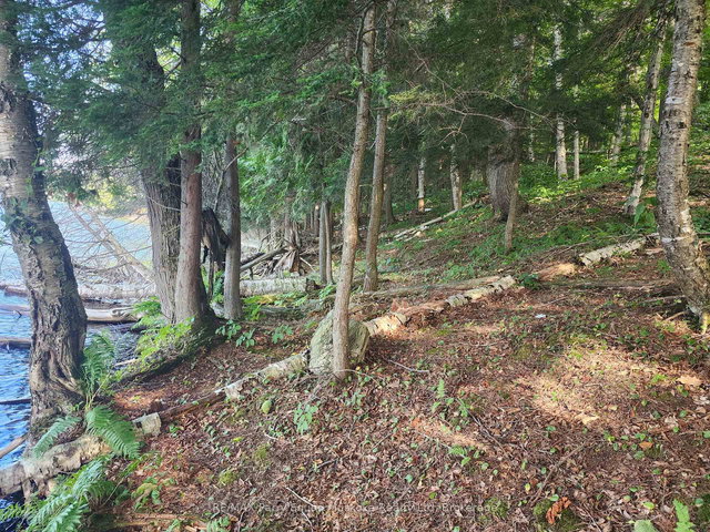368 Simmons Lake Road