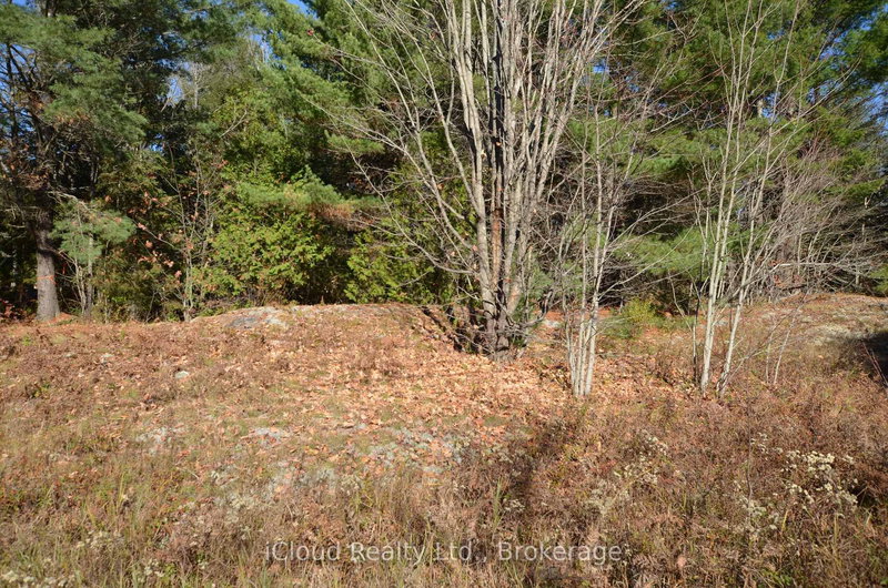 2 Parker Bay Rd, Whitestone, P0A 1G0 | Image 3