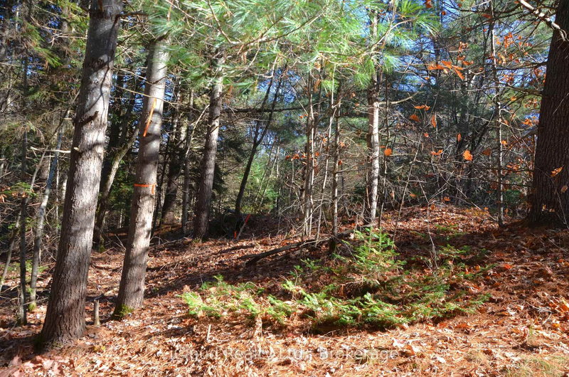 3 Parker Bay Rd, Whitestone, P0G 1G0 | Image 2