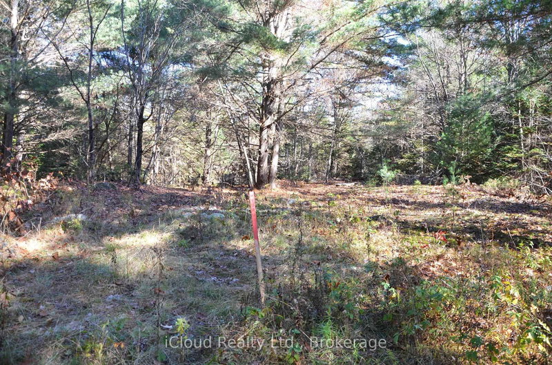 3 Parker Bay Rd, Whitestone, P0G 1G0 | Image 3