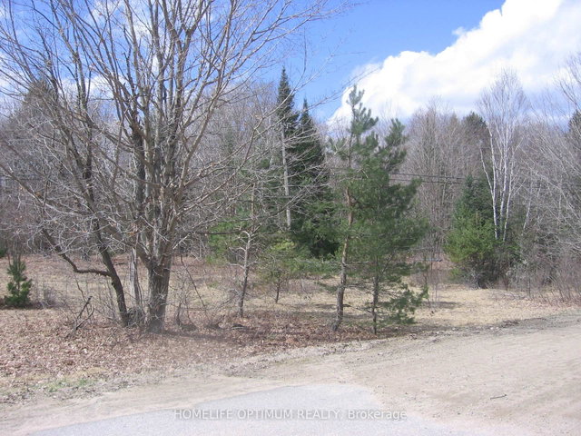 2.6 Acres Norley Drive