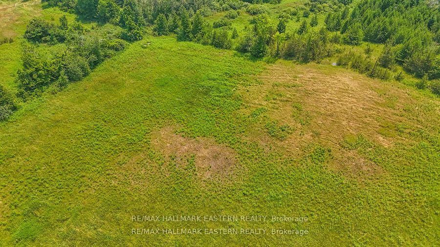 0 Con 10 Lot 5 Old Norwood Road • Havelock-Belmont-Methuen, ON photo 3