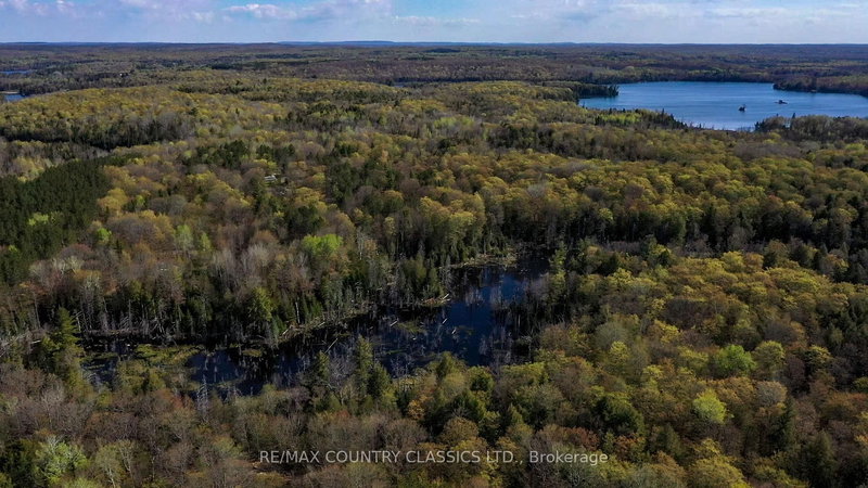 0 Trotter Oitment Rd N, North Kawartha, K0L 1A0 | Image 3